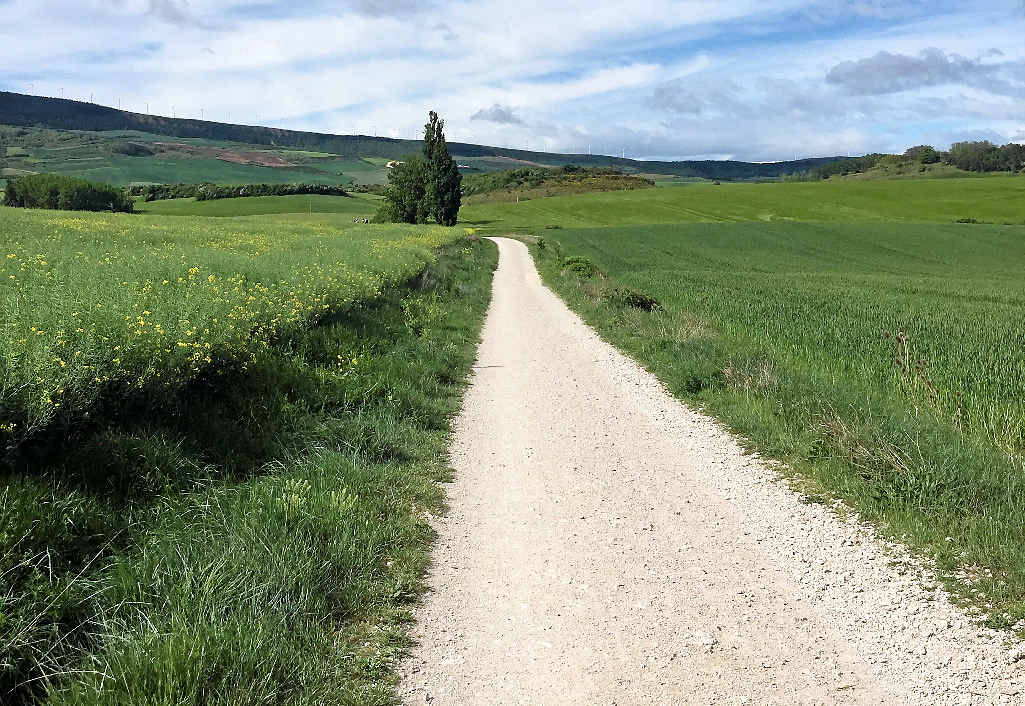 The view of the road ahead at Galar in Spain. Right: Jenny Hall near the start of her journey. The view of the road ahead at Galar in Spain. Right: Jenny Hall near the start of her journey.